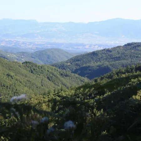 Holiday Home Monte Santa Maria Pool Retreat Monte Santa Maria Tiberina